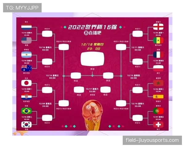 日本世界杯淘汰赛全攻略